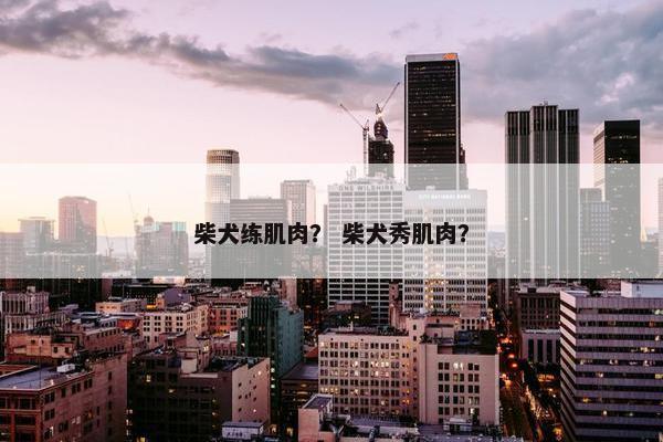 柴犬练肌肉？ 柴犬秀肌肉？