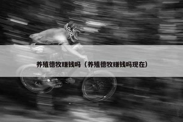 养殖德牧赚钱吗(养殖德牧赚钱吗现在)