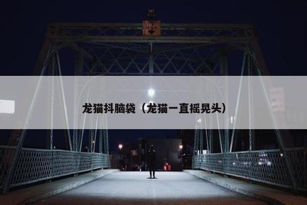 龙猫抖脑袋（龙猫一直摇晃头）