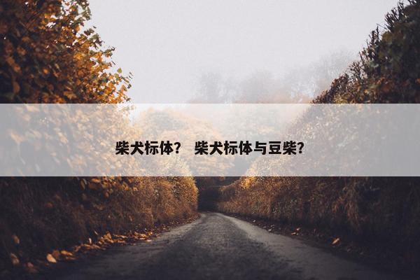 柴犬标体? 柴犬标体与豆柴?