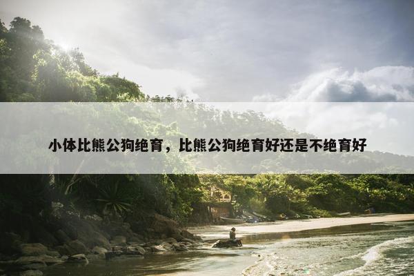 小体比熊公狗绝育,比熊公狗绝育好还是不绝育好