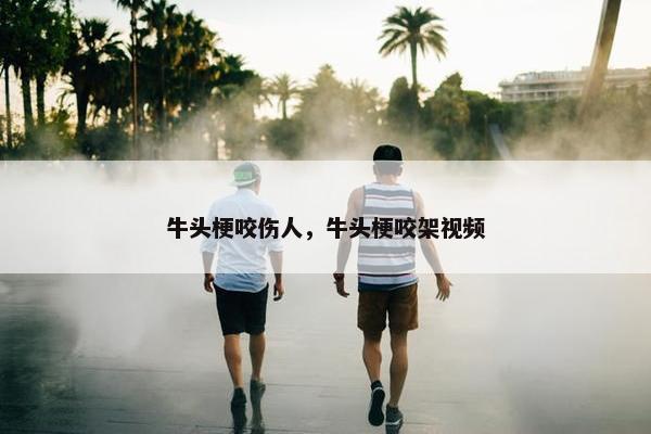牛头梗咬伤人，牛头梗咬架视频