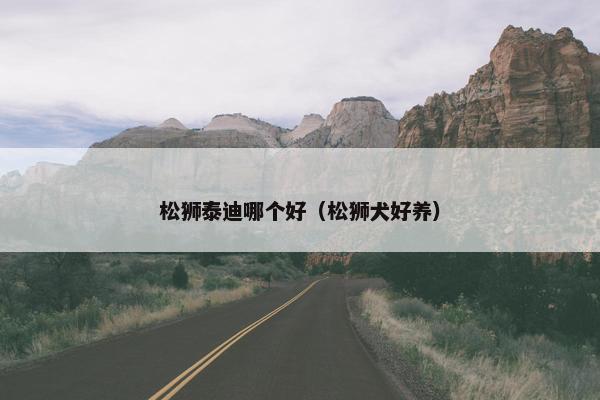 松狮泰迪哪个好（松狮犬好养）