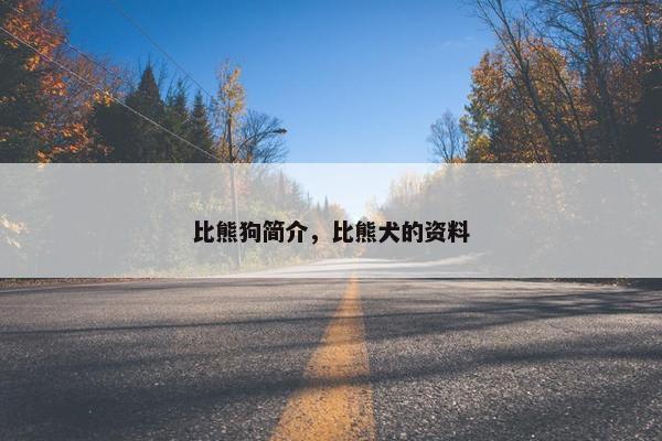 比熊狗简介,比熊犬的资料