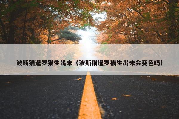 波斯猫暹罗猫生出来(波斯猫暹罗猫生出来会变色吗)