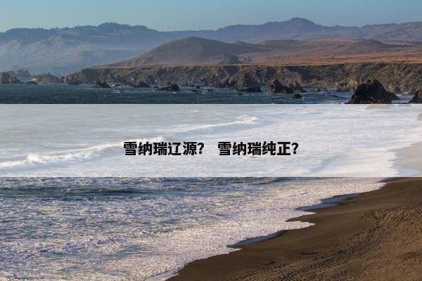雪纳瑞辽源？ 雪纳瑞纯正？