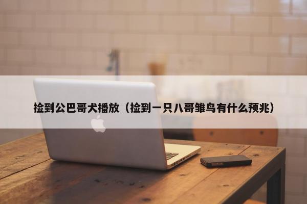 捡到公巴哥犬播放(捡到一只八哥雏鸟有什么预兆)