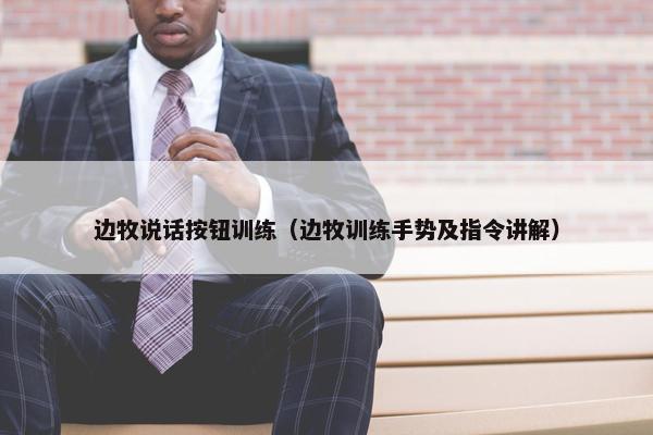 边牧说话按钮训练(边牧训练手势及指令讲解)