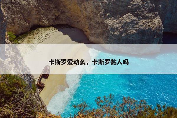 卡斯罗爱动么,卡斯罗黏人吗