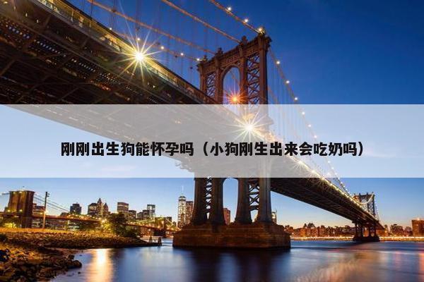 刚刚出生狗能怀孕吗(小狗刚生出来会吃奶吗)
