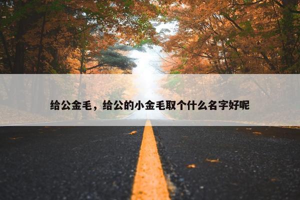 公金