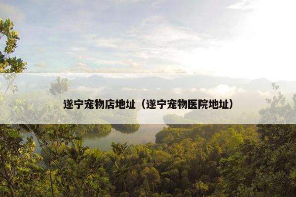 遂宁宠物店地址（遂宁宠物医院地址）