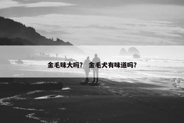 金毛味大吗? 金毛犬有味道吗?