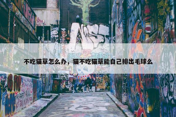 不吃猫草怎么办，猫不吃猫草能自己排出毛球么