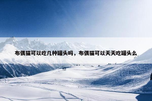 罐头