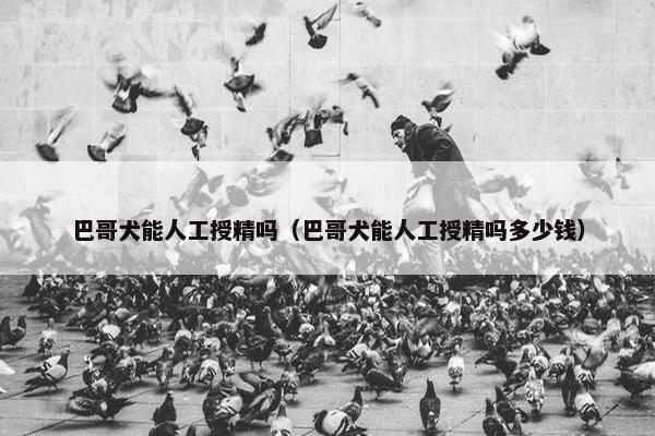 巴哥犬能人工授精吗（巴哥犬能人工授精吗多少钱）