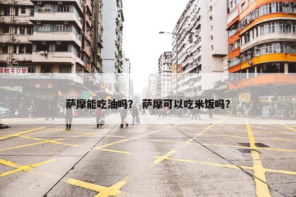萨摩能吃油吗? 萨摩可以吃米饭吗?