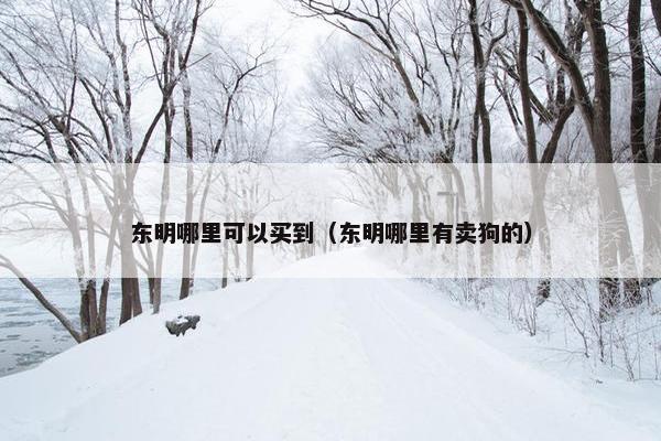 东明哪里可以买到（东明哪里有卖狗的）
