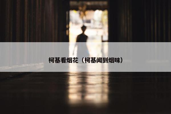 柯基看烟花（柯基闻到烟味）