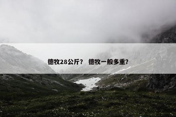 德牧28公斤？ 德牧一般多重？