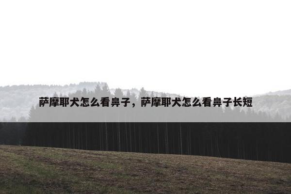 萨摩耶犬怎么看鼻子,萨摩耶犬怎么看鼻子长短