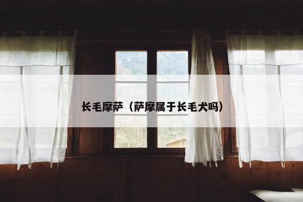 长毛摩萨（萨摩属于长毛犬吗）