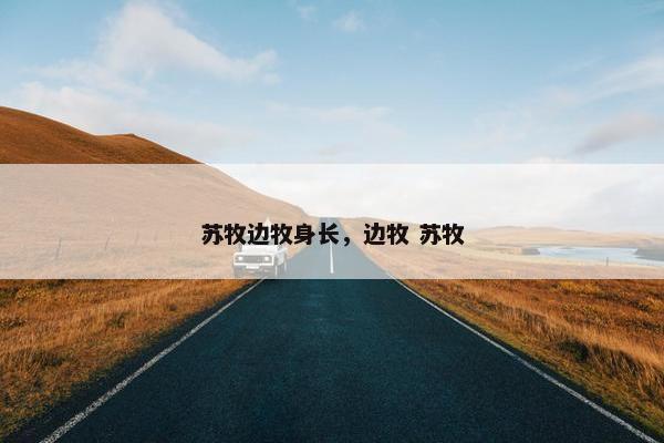 苏牧边牧身长,边牧 苏牧