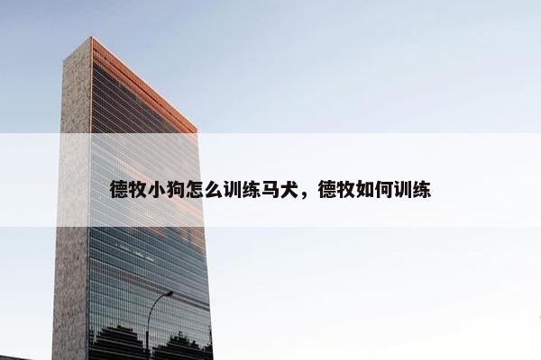 德牧小狗怎么训练马犬,德牧如何训练