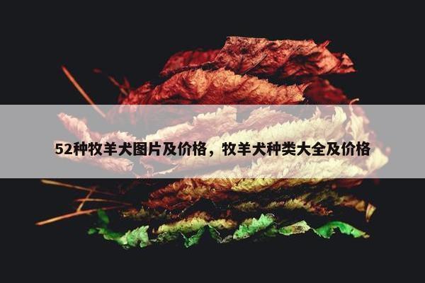 52种牧羊犬图片及价格，牧羊犬种类大全及价格