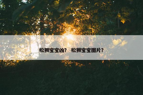 松狮宝宝凶? 松狮宝宝图片?