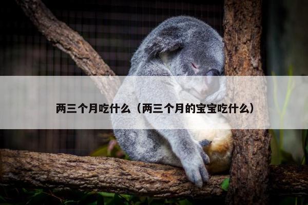 两三个月吃什么（两三个月的宝宝吃什么）
