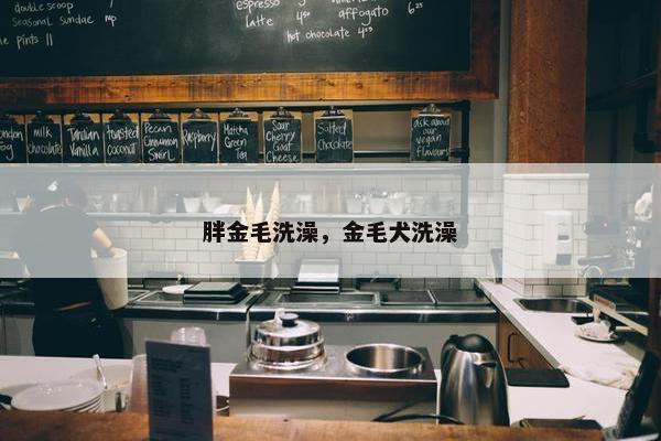 胖金毛洗澡，金毛犬洗澡