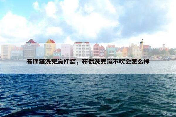 布偶猫洗完澡打结，布偶洗完澡不吹会怎么样