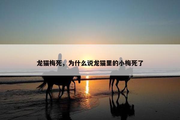 龙猫梅死，为什么说龙猫里的小梅死了
