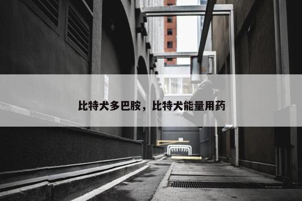 比特犬多巴胺，比特犬能量用药
