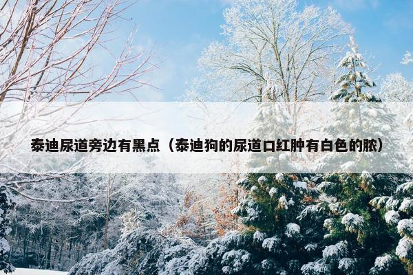 情况