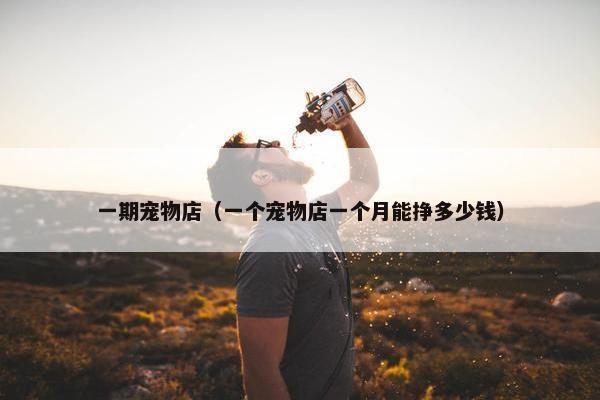 一期宠物店（一个宠物店一个月能挣多少钱）