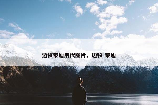 边牧泰迪后代图片，边牧 泰迪