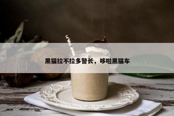 黑猫拉不拉多警长，哆啦黑猫车