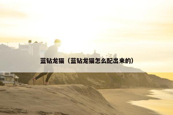 蓝钻龙猫(蓝钻龙猫怎么配出来的)
