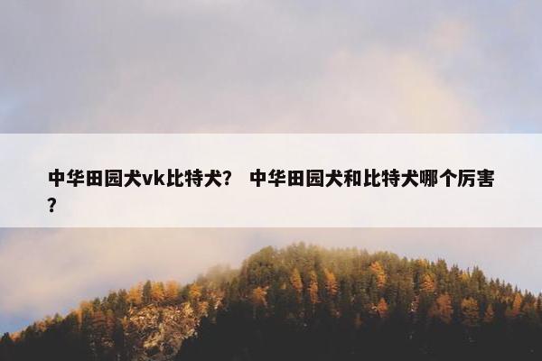 中华田园犬vk比特犬？ 中华田园犬和比特犬哪个厉害？