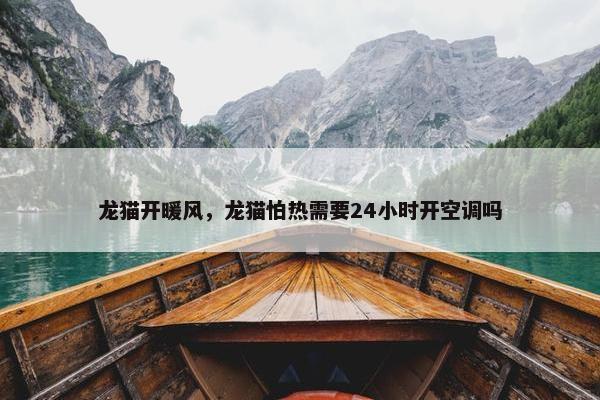 龙猫开暖风,龙猫怕热需要24小时开空调吗