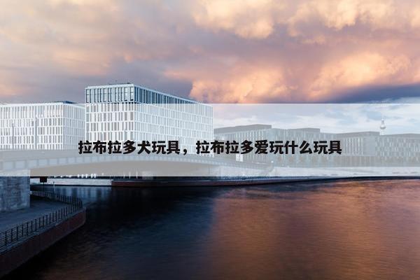 拉布拉多犬玩具，拉布拉多爱玩什么玩具