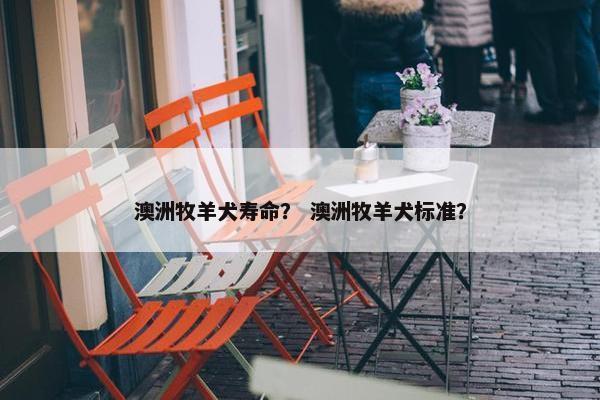 牧牛