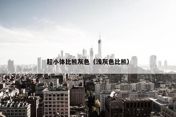 超小体比熊灰色（浅灰色比熊）