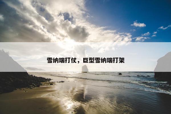 雪纳瑞打仗，巨型雪纳瑞打架