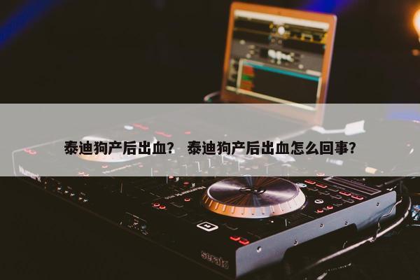 泰迪狗产后出血？ 泰迪狗产后出血怎么回事？