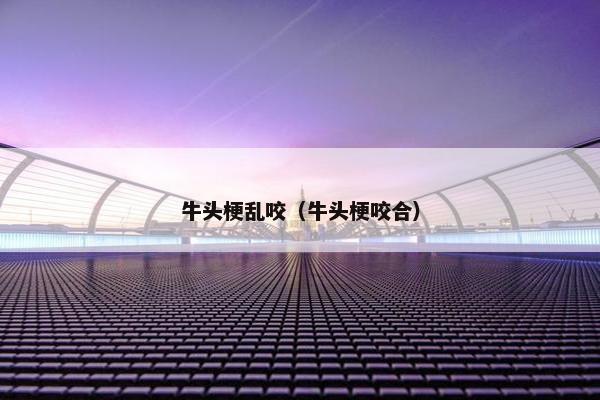 牛头梗乱咬（牛头梗咬合）