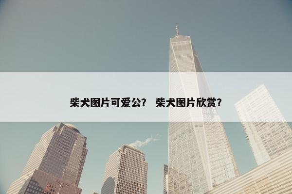 柴犬图片可爱公？ 柴犬图片欣赏？