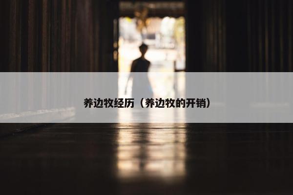 养边牧经历（养边牧的开销）